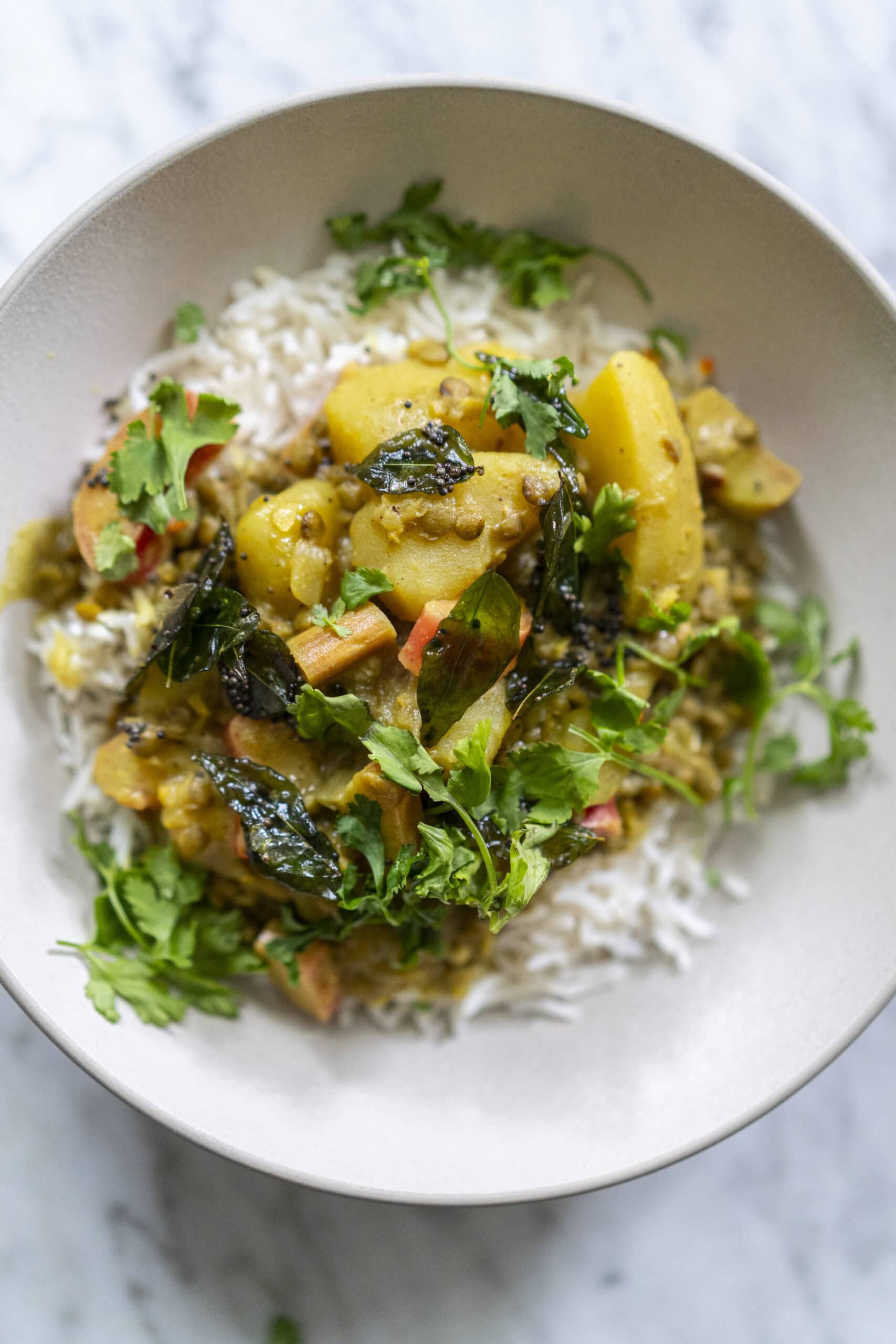 A bowl of white rice topped with vegetable curry, garnished with fresh cilantro, served on a light-colored plate.