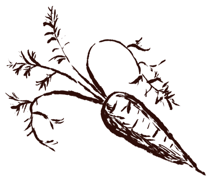 cookbook-carrot