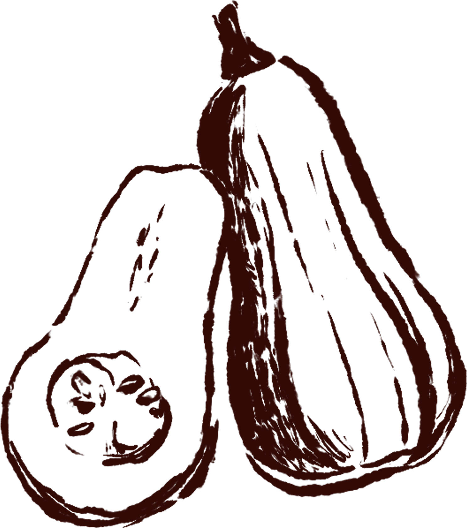 winter squash